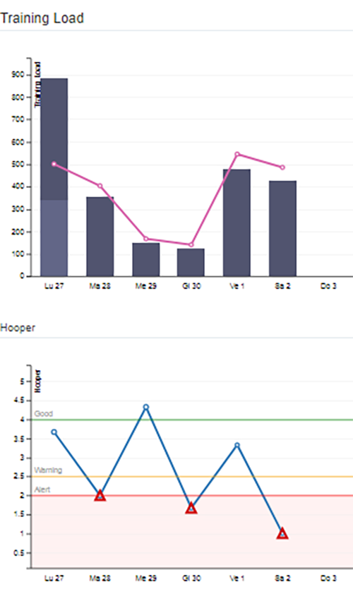 Grafici questionario Hooper TLM